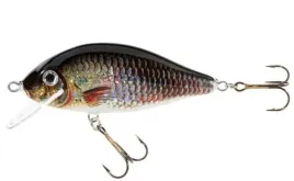 jaxon-wobler-holo-select-karas-75-cm-13-g-w