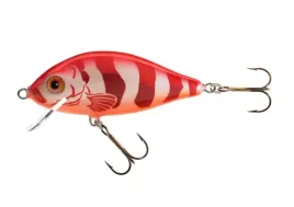 jaxon-wobler-holo-select-karas-8cm-f-re