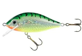 jaxon-wobler-holo-select-karas-55-cm-6g-st