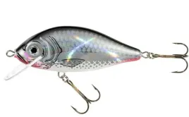 jaxon-wobler-holo-select-karas-75-cm-13-g-sc