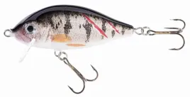 jaxon-wobler-holo-select-karas-sw-7-cm-10-g-osy