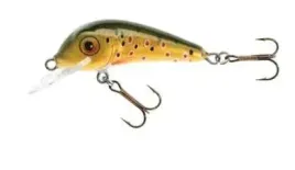 jaxon-wobler-hs-senso-qm-4-f-ed