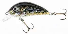jaxon-wobler-holo-select-golbat-35-cm-t