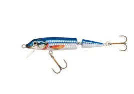 jaxon-wobler-horn-qm-7-cm-7-g-nd