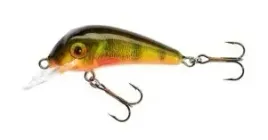 jaxon-wobler-hs-senso-qm-4-f-om