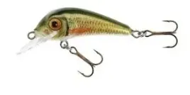 jaxon-wobler-hs-senso-qm-4-f-pz