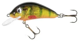 jaxon-wobler-holo-select-golbat-35-cm-om