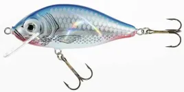 jaxon-wobler-holo-select-karas-75-cm-13-g-sn