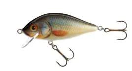 jaxon-wobler-holo-select-karas-55-cm-6g-uk