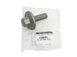oe-renault-sruba-walka-rozrzadu-123094581r-renault-1-2-tce