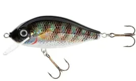 jaxon-wobler-holo-select-karas-9-cm-17g-o