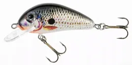jaxon-wobler-holo-select-golbat-35-cm-da
