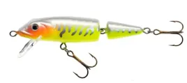 jaxon-wobler-horn-qm-7-cm-7-g-ma