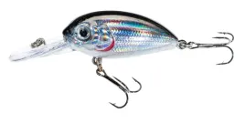 jaxon-wobler-atract-aris-4cm-d