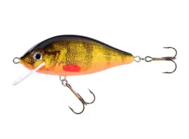 jaxon-wobler-holo-select-karas-8cm-f-om