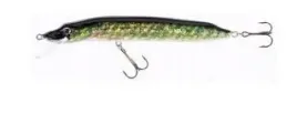 jaxon-wobler-hs-pike-16-f-p