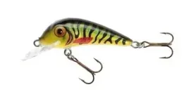 jaxon-wobler-hs-senso-qm-4-f-mc