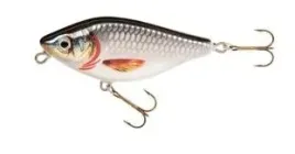 jaxon-wobler-hs-diver-9-dr-cd