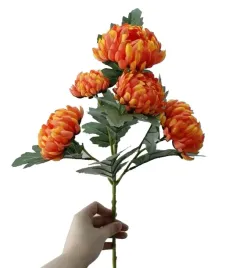 chryzantema-pomaranczowa-galazka-5-kwiatow-sr-glowy-10cm-dlugosc-62cm