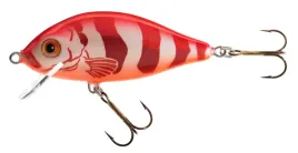 jaxon-wobler-holo-select-karas-75-cm-13-g-re