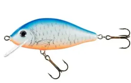 jaxon-wobler-holo-select-karas-75-cm-13-g-nl
