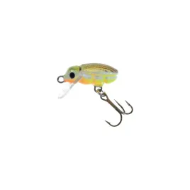jaxon-wobler-hs-beetle-25-cm-2-g