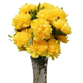 piwonia-zolta-bukiet-peonia-8-kwiatow-glowka-16-cm