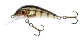 jaxon-wobler-hs-senso-qm-55-f-of
