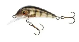 jaxon-wobler-hs-senso-qm-4-f-ed
