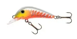 jaxon-wobler-hs-senso-qm-55-f-mb