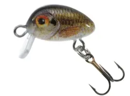 jaxon-wobler-holo-select-micron-2-cm-gw