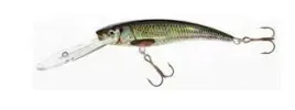 jaxon-wobler-hs-diver-11-dr-h