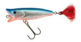 jaxon-wobler-hs-popper-chlup-9-f-n
