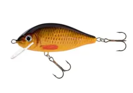 jaxon-wobler-holo-select-karas-8cm-f-c
