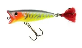 jaxon-wobler-hs-popper-chlup-9-f-ma