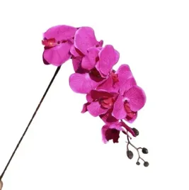 orchidea-storczyk-rozowy-fuksja-105-cm-phenelopsis-8-kwiatow