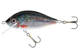 jaxon-wobler-holo-select-karas-75-cm-13-g-p