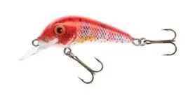 jaxon-wobler-hs-senso-qm-55-f-ec