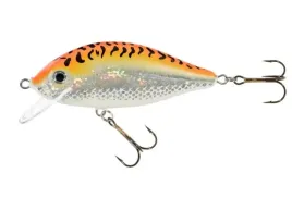 jaxon-wobler-holo-select-karas-8cm-f-gft