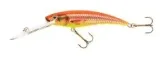 jaxon-wobler-hs-diver-11-dr-cd
