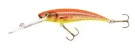 jaxon-wobler-hs-diver-11-dr-cd
