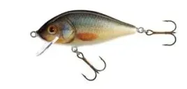 jaxon-wobler-hs-karas-11-f-uk