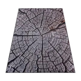 dywan-brazowy-160x220-cm-do-salonu-sypialni-pien-drzewa-sloje-drewno-bcf