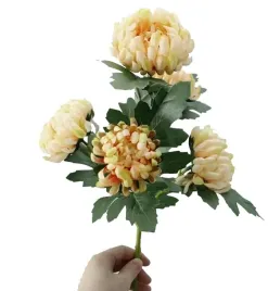chryzantema-kremowa-galazka-5-kwiatow-sr-glowy-10cm-dlugosc-62cm