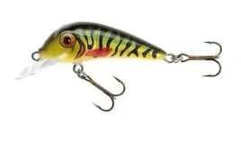 jaxon-wobler-hs-senso-qm-55-f-mc