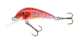 jaxon-wobler-hs-senso-qm-4-f-ec