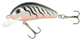 jaxon-wobler-holo-select-golbat-35-cm-gn
