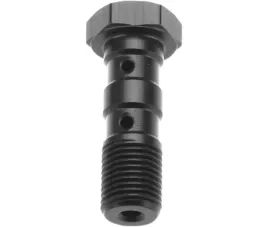 trw-zf-sruba-hydrauliczna-do-przewodow-hamulcowych-m10x100-podwojna-brembo