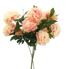 piwonia-jasny-roz-100cm-3-glowy-na-lodydze-17cm