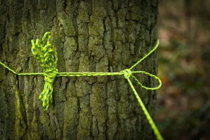 linka-tactical-275-cord-100ft-olive-drab-cechy-dodatkowe-brak